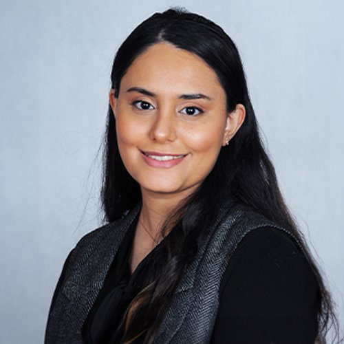 Photo of Dr. Mersedeh Sayafi